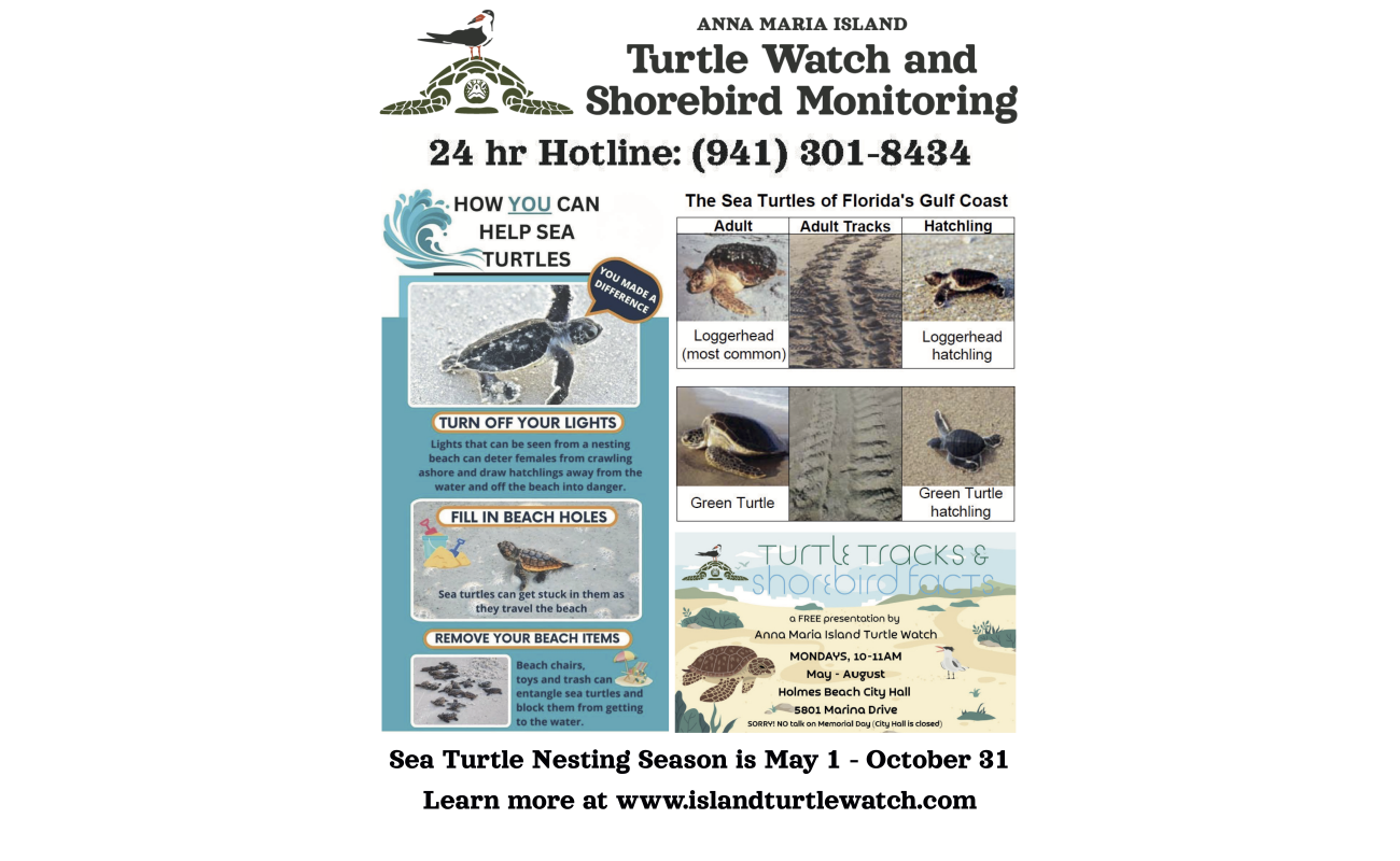 Sea turtle nesting season flyer