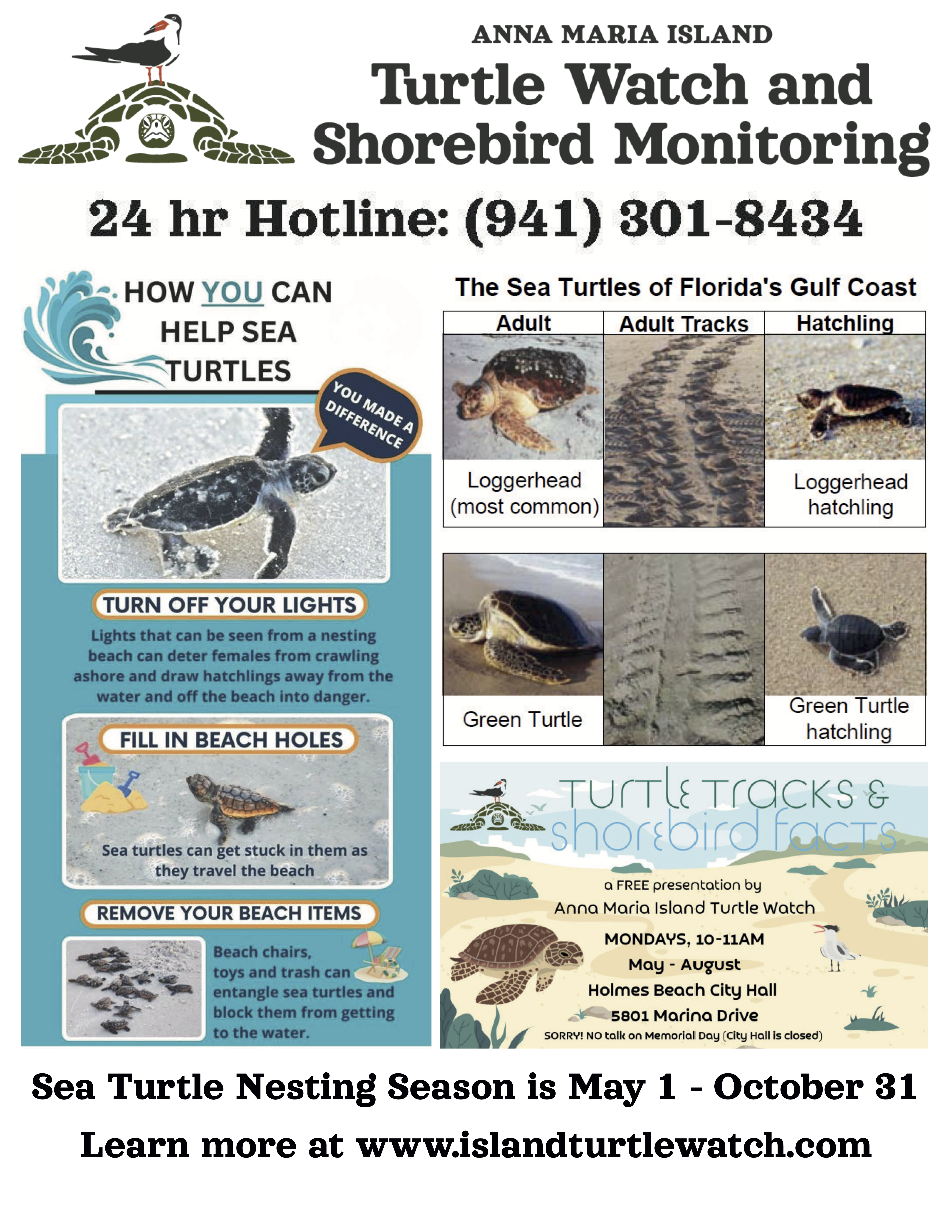 Sea turtle nesting season flyer