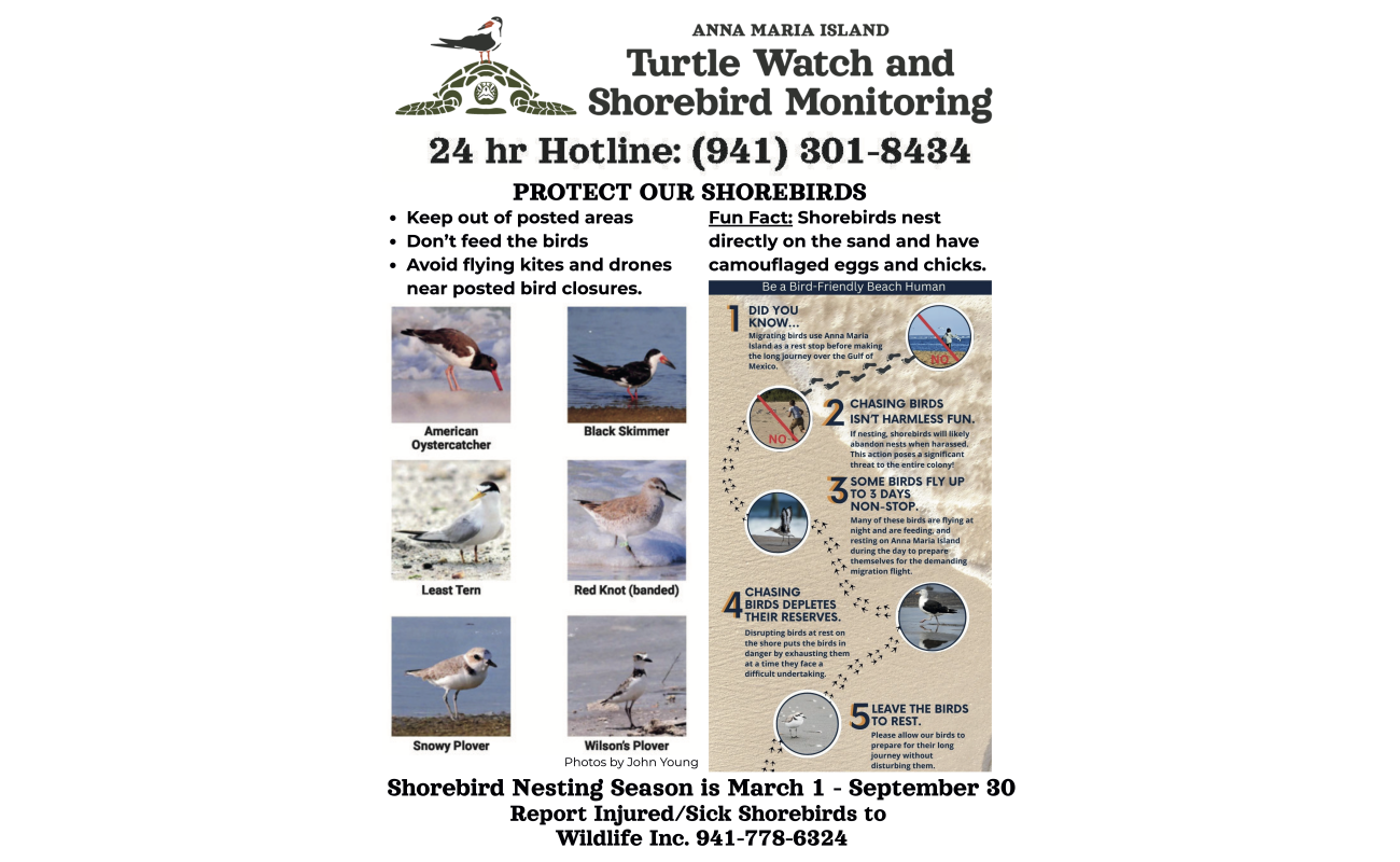 Shorebird nesting season flyer