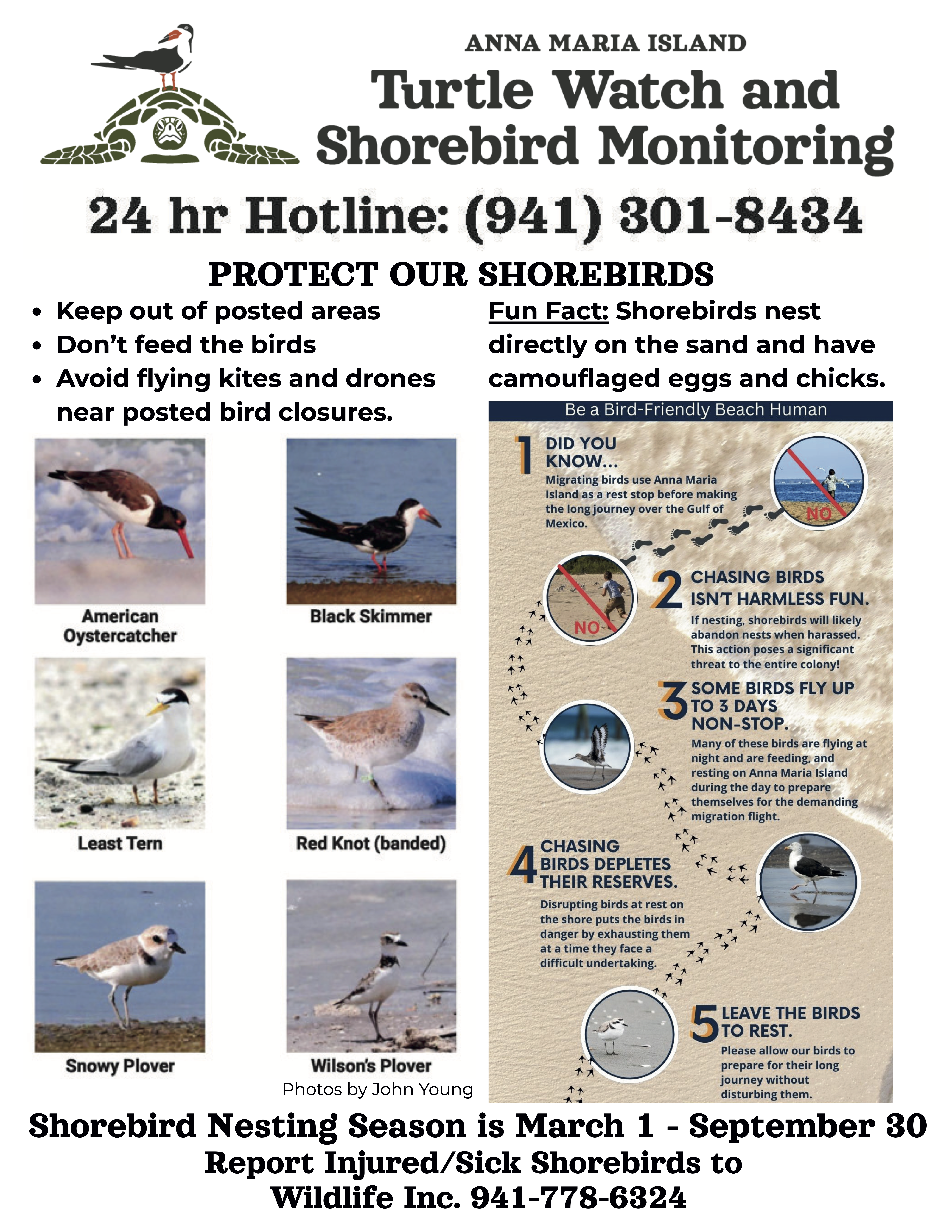 Shorebird nesting season flyer